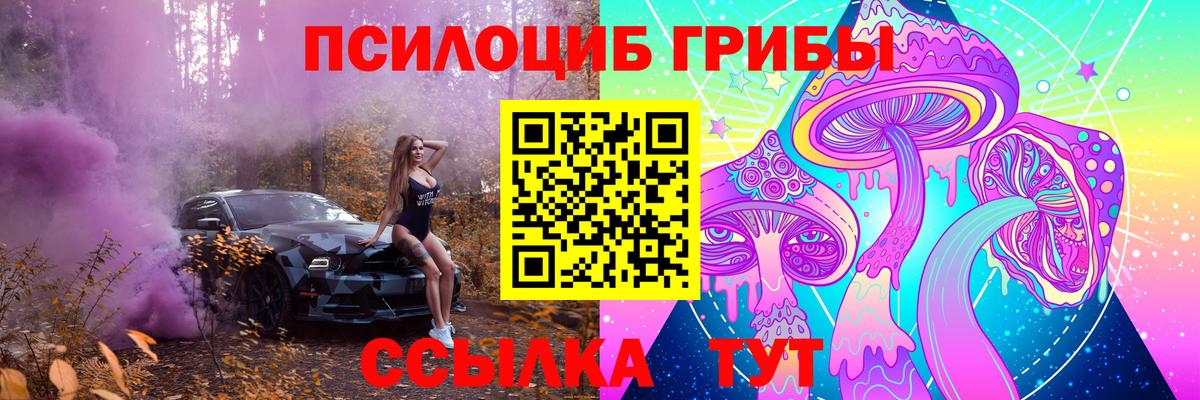 где можно купить   Вход с VPN  Псилоцибиновые грибы Psilocybe  Коммунар  Галлюциногенные грибы Psilocybine cubensis 